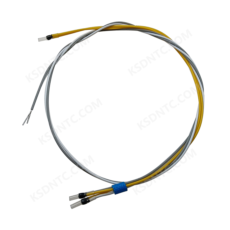 P03 Thermistor