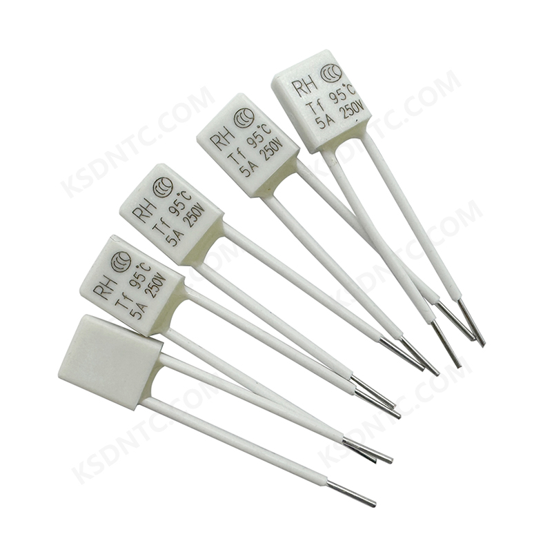 RH temperature fuse 5A